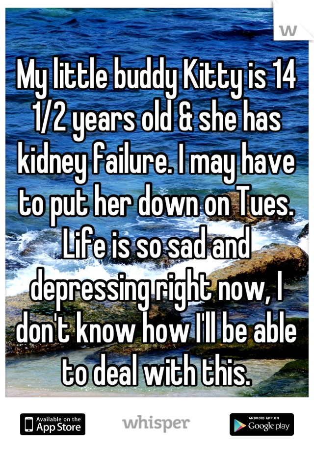 My little buddy Kitty is 14 1/2 years old & she has kidney failure. I may have to put her down on Tues. Life is so sad and depressing right now, I don't know how I'll be able to deal with this.