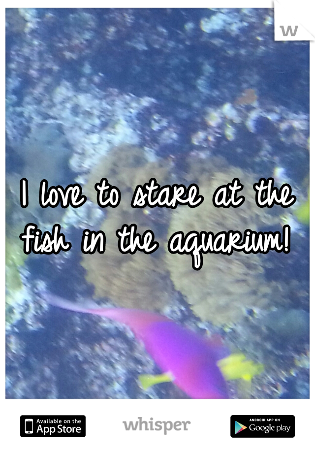 I love to stare at the fish in the aquarium! 