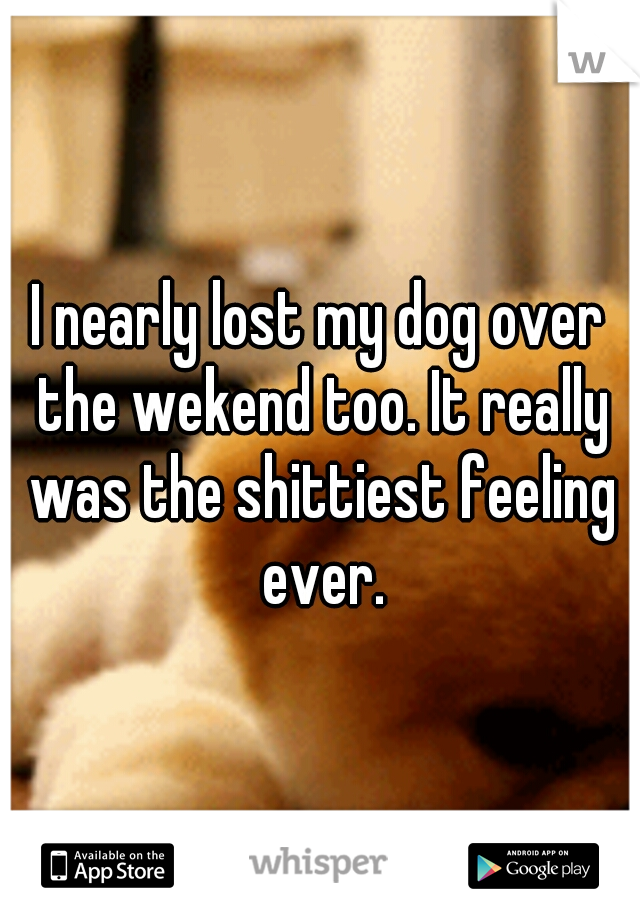 I nearly lost my dog over the wekend too. It really was the shittiest feeling ever.