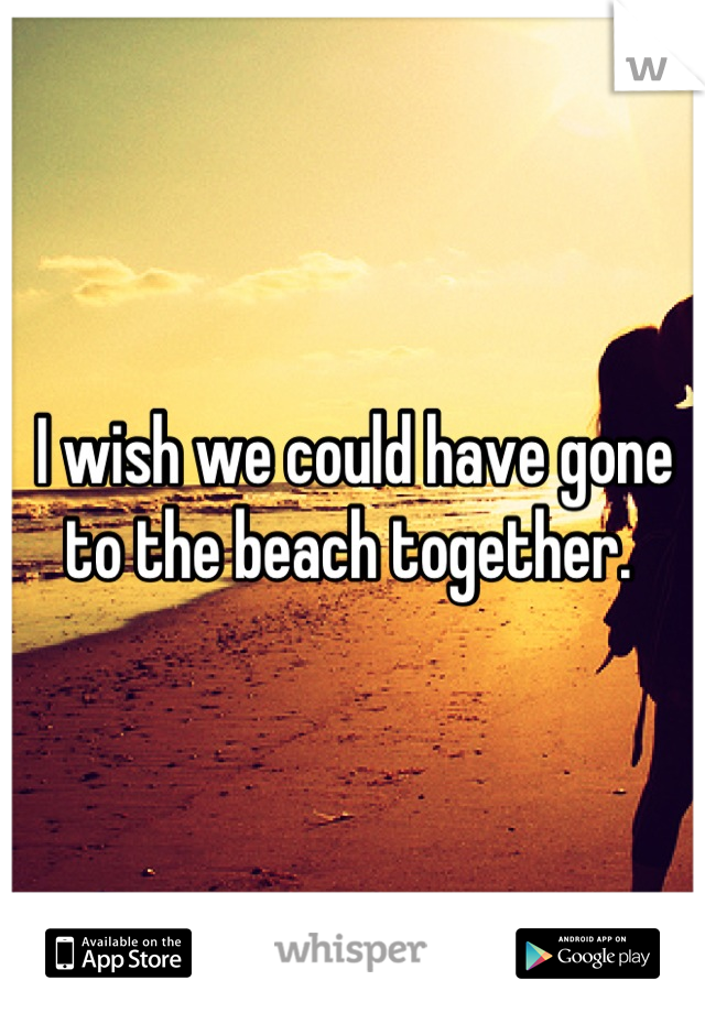 I wish we could have gone to the beach together. 