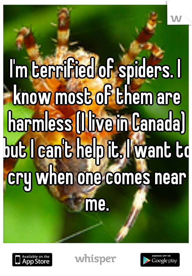 I'm terrified of spiders. I know most of them are harmless (I live in Canada) but I can't help it. I want to cry when one comes near me.