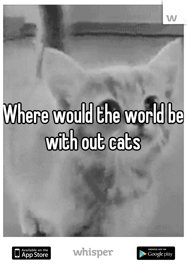 Where would the world be with out cats 