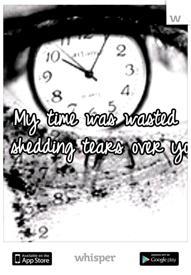 My time was wasted shedding tears over you