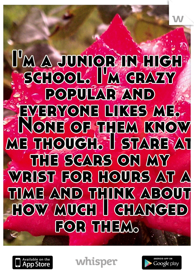 I'm a junior in high school. I'm crazy popular and everyone likes me. 
None of them know me though. I stare at the scars on my wrist for hours at a time and think about how much I changed for them. 