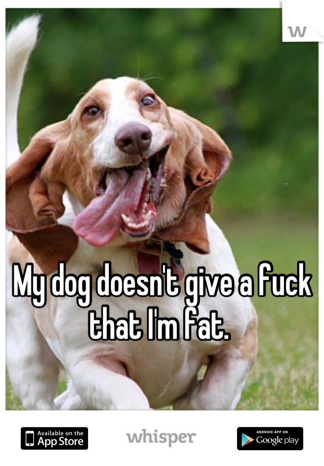 My dog doesn't give a fuck that I'm fat. 