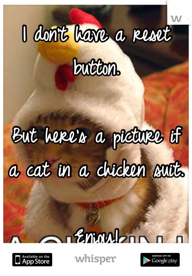 I don't have a reset button.

But here's a picture if a cat in a chicken suit.

Enjoy!