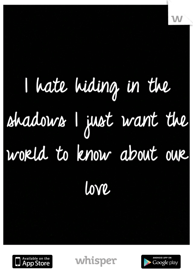 I hate hiding in the shadows I just want the world to know about our love