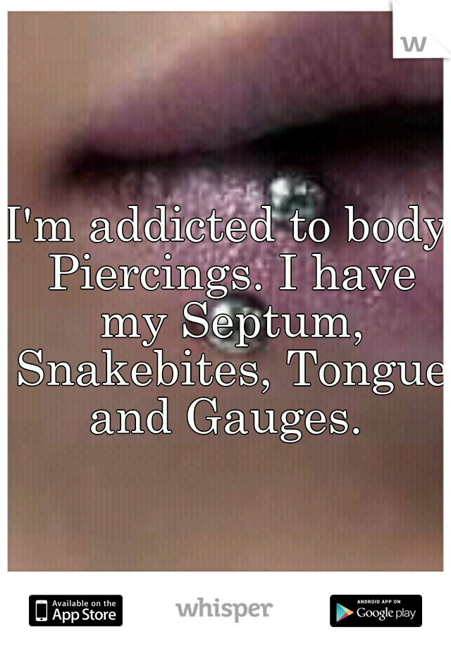 I'm addicted to body Piercings. I have my Septum, Snakebites, Tongue and Gauges. 