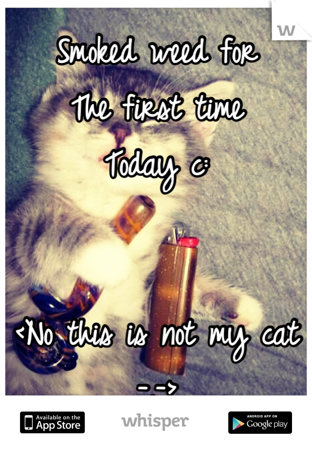 Smoked weed for 
The first time
Today c:


<No this is not my cat -.->