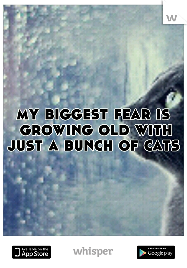 my biggest fear is growing old with just a bunch of cats 