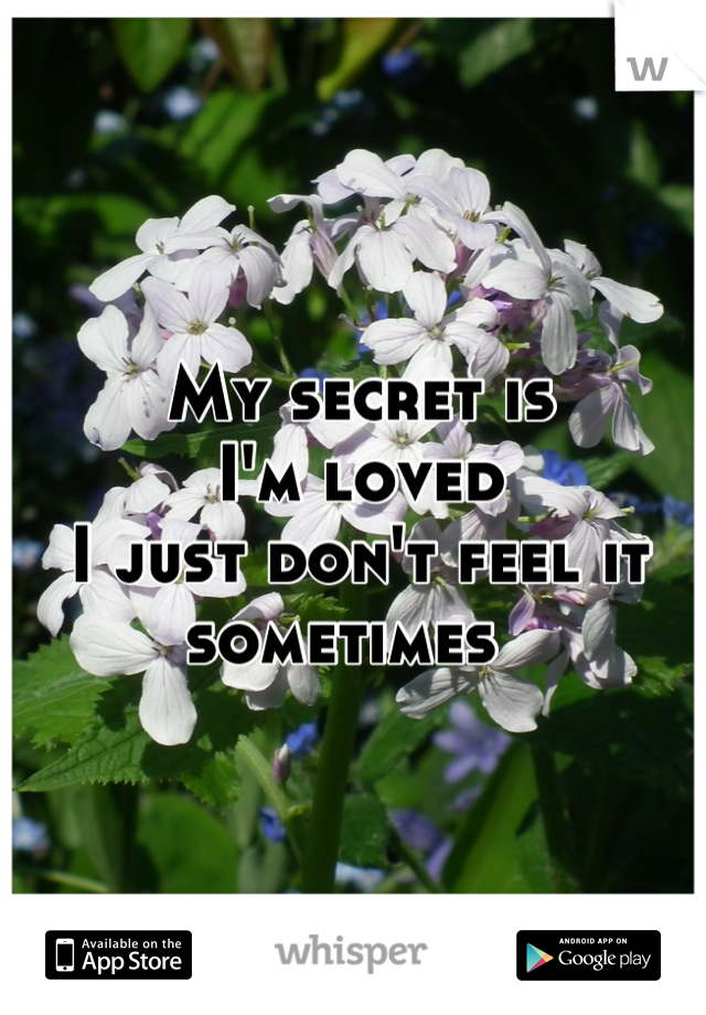 My secret is 
I'm loved 
I just don't feel it sometimes  