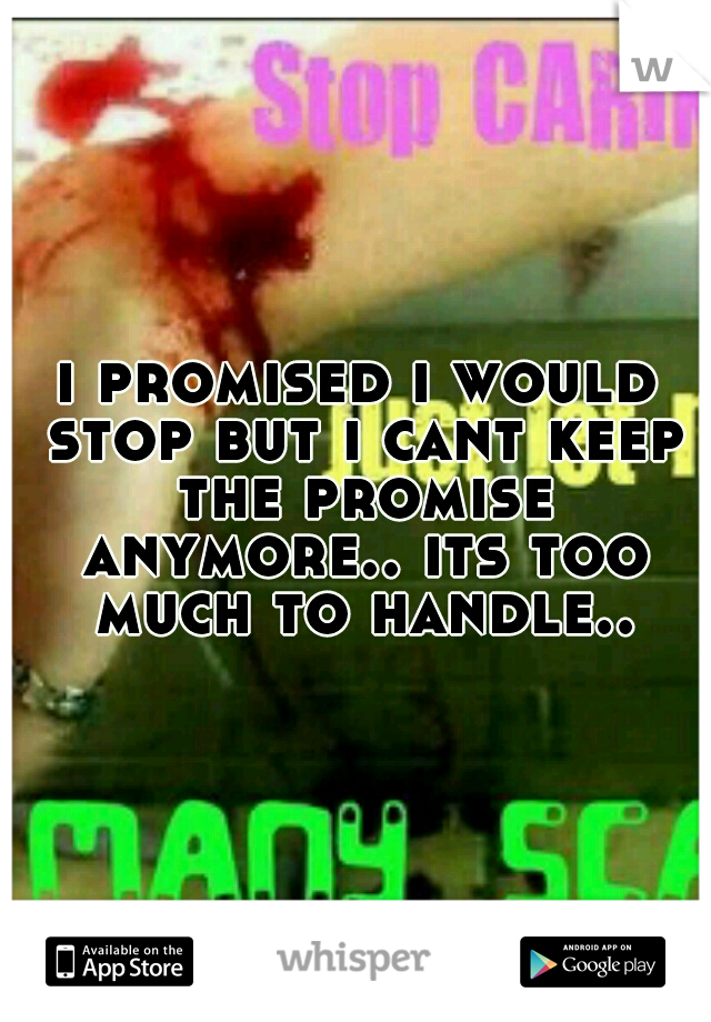 i promised i would stop but i cant keep the promise anymore.. its too much to handle..