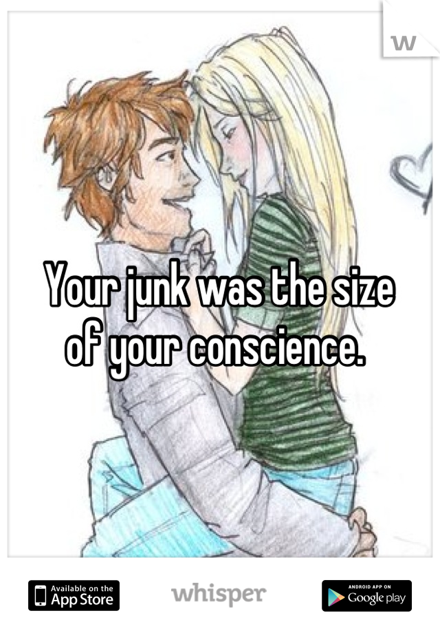 Your junk was the size
of your conscience. 