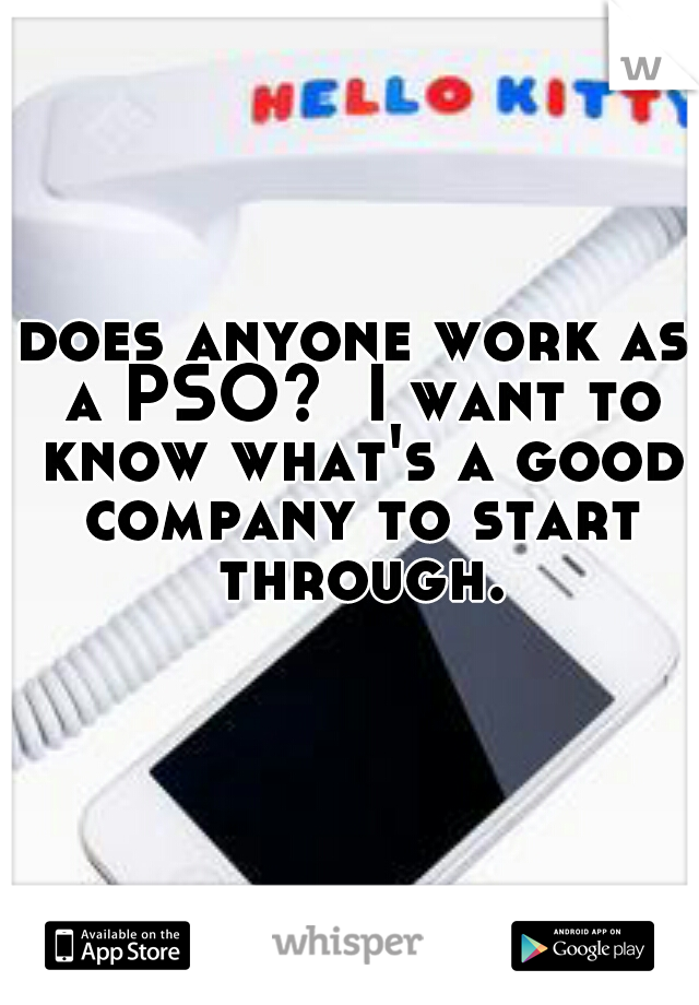 does anyone work as a PSO?  I want to know what's a good company to start through.