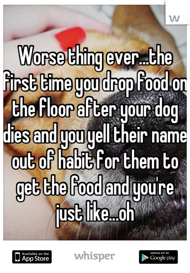 Worse thing ever...the first time you drop food on the floor after your dog dies and you yell their name out of habit for them to get the food and you're just like...oh