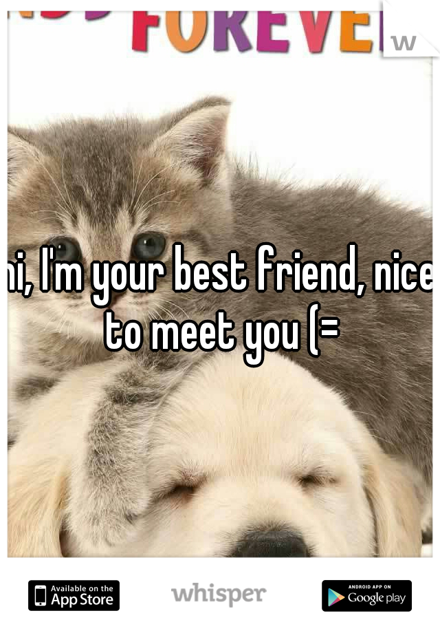 hi, I'm your best friend, nice to meet you (=