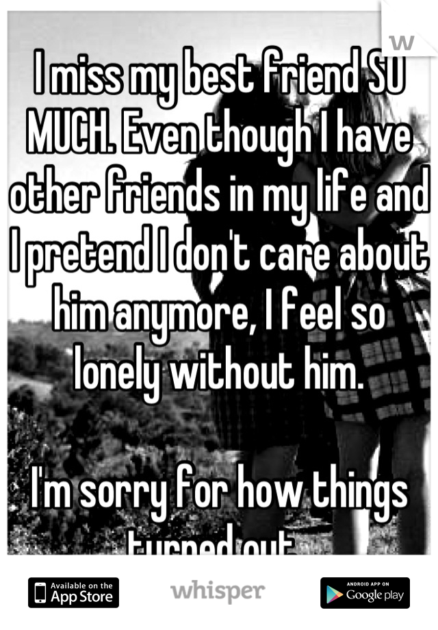 I miss my best friend SO MUCH. Even though I have other friends in my life and I pretend I don't care about him anymore, I feel so lonely without him. 

I'm sorry for how things turned out. 