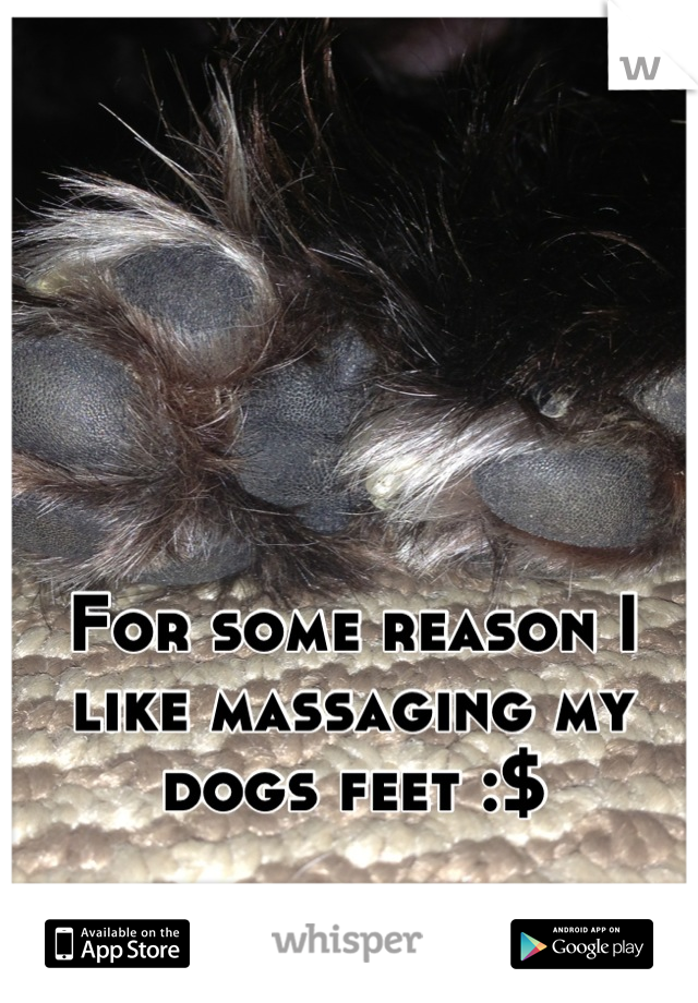 For some reason I like massaging my dogs feet :$