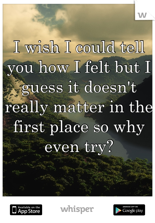 I wish I could tell you how I felt but I guess it doesn't really matter in the first place so why even try?