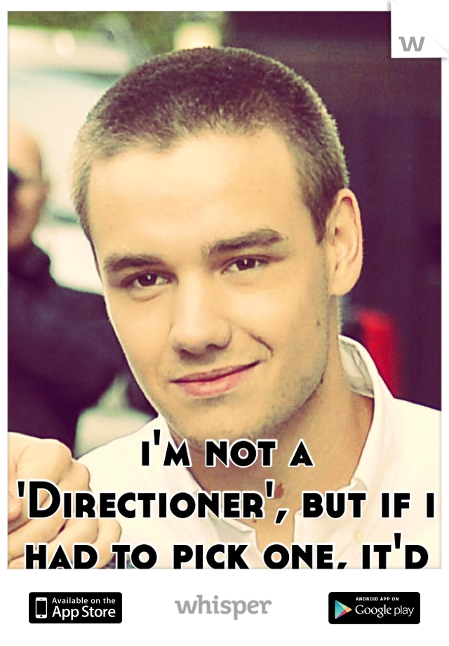 i'm not a 'Directioner', but if i had to pick one, it'd be Liam