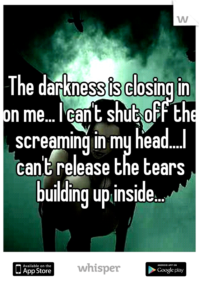 The darkness is closing in on me... I can't shut off the screaming in my head....I can't release the tears building up inside...