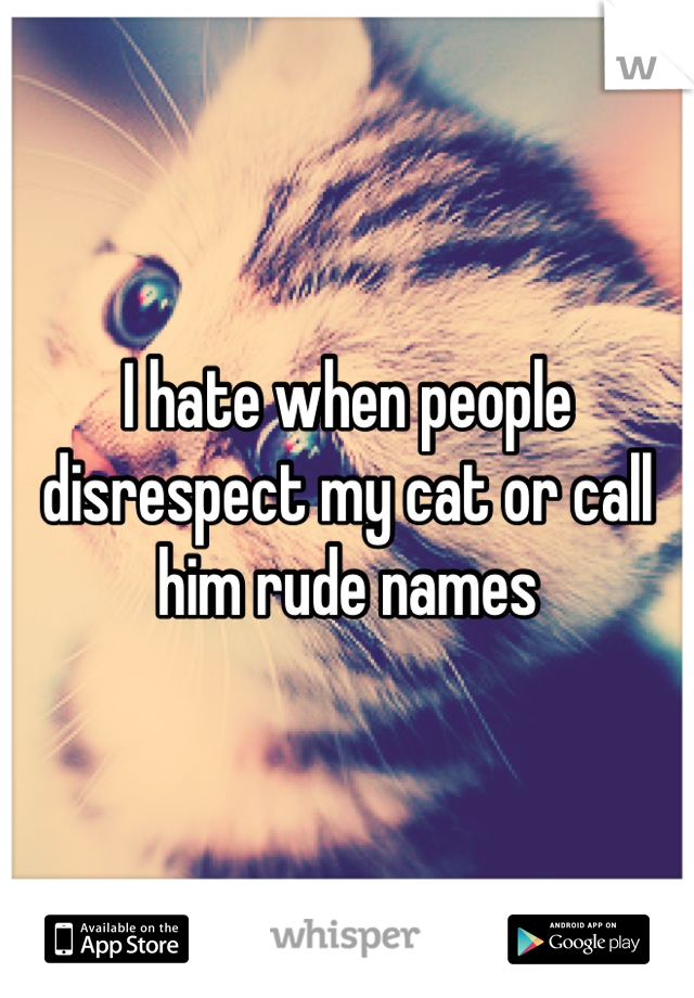 I hate when people disrespect my cat or call him rude names