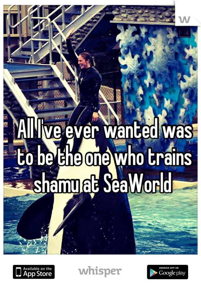 All I've ever wanted was to be the one who trains shamu at SeaWorld 