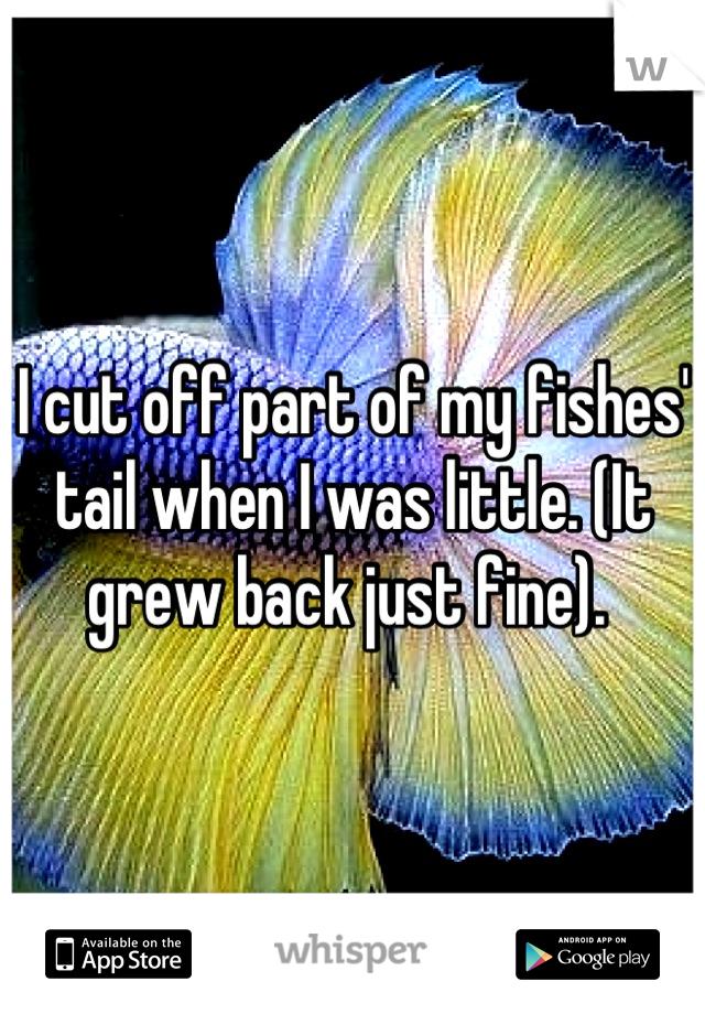 I cut off part of my fishes' tail when I was little. (It grew back just fine). 