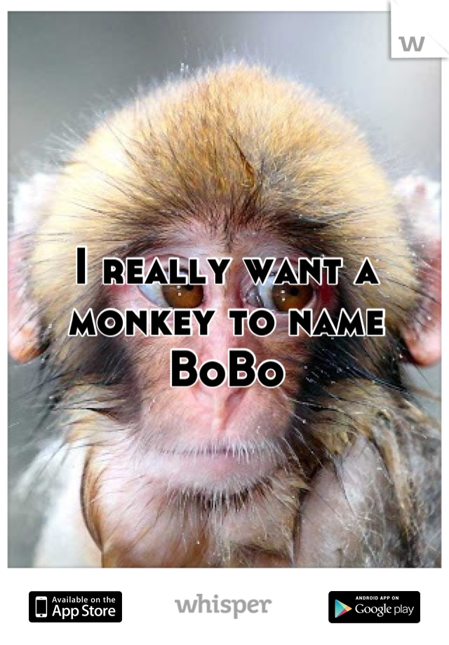 I really want a monkey to name BoBo