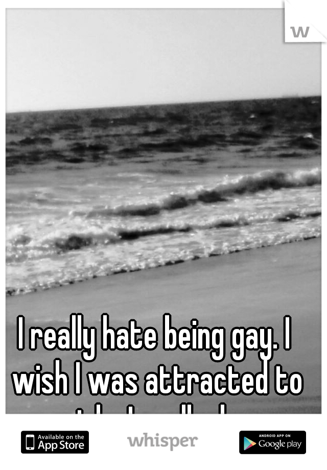 I really hate being gay. I wish I was attracted to girls, I really do. 