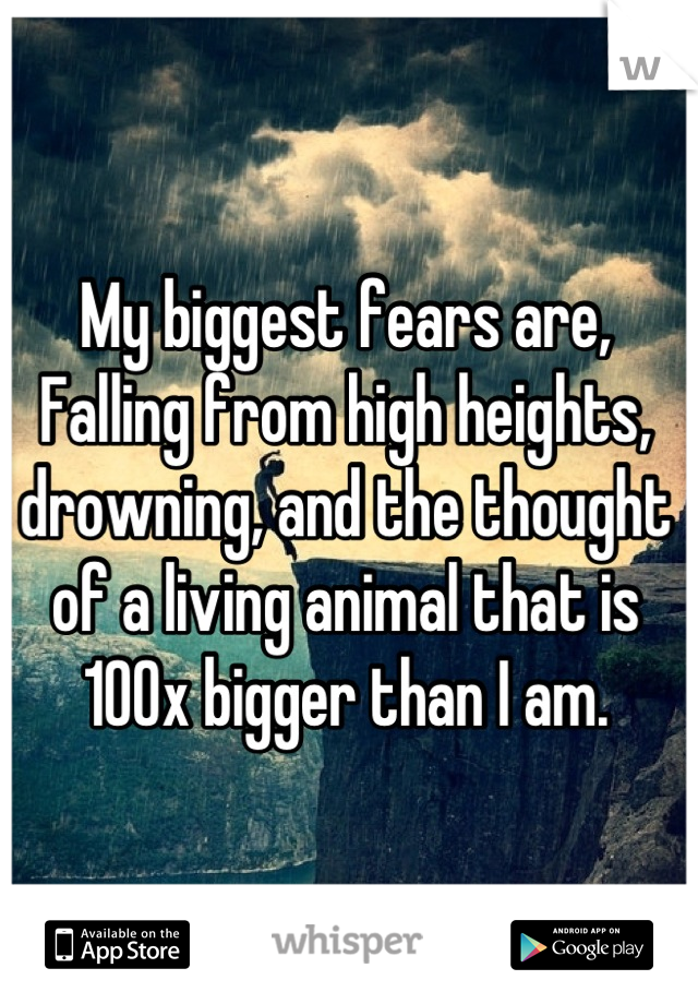 My biggest fears are, Falling from high heights, drowning, and the thought of a living animal that is 100x bigger than I am.