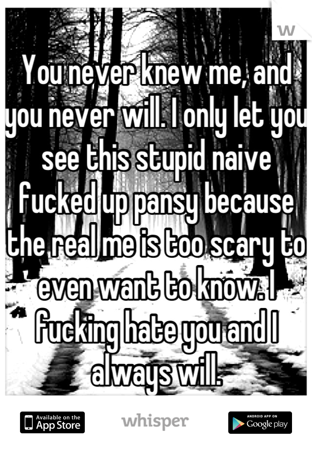 You never knew me, and you never will. I only let you see this stupid naive fucked up pansy because the real me is too scary to even want to know. I fucking hate you and I always will.