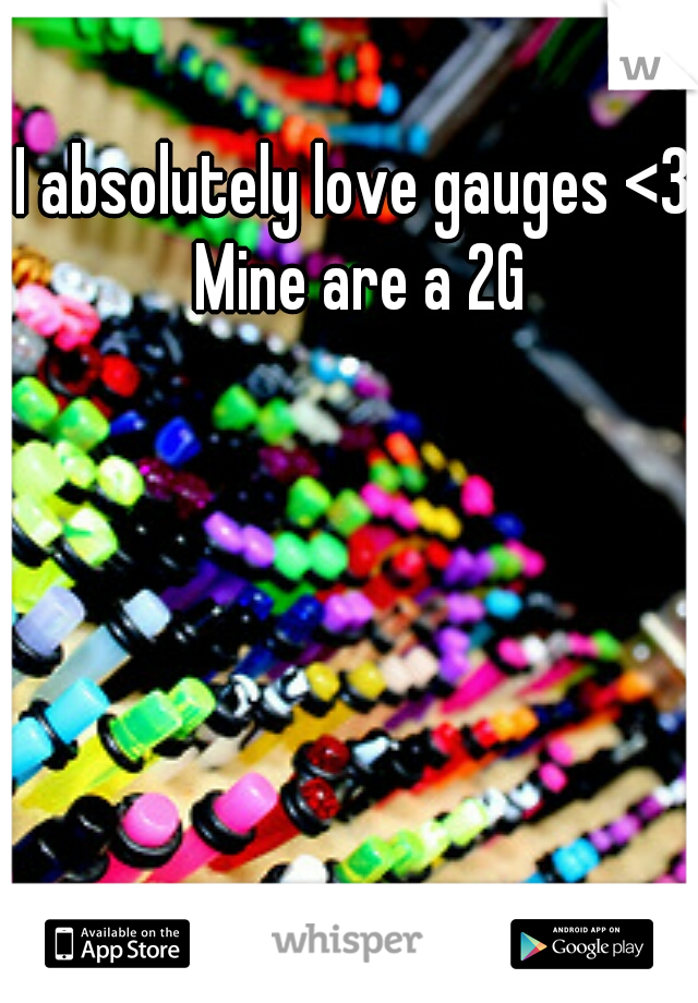 I absolutely love gauges <3 Mine are a 2G