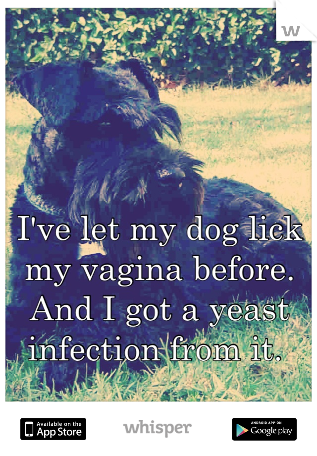 I've let my dog lick my vagina before. And I got a yeast infection from it. 