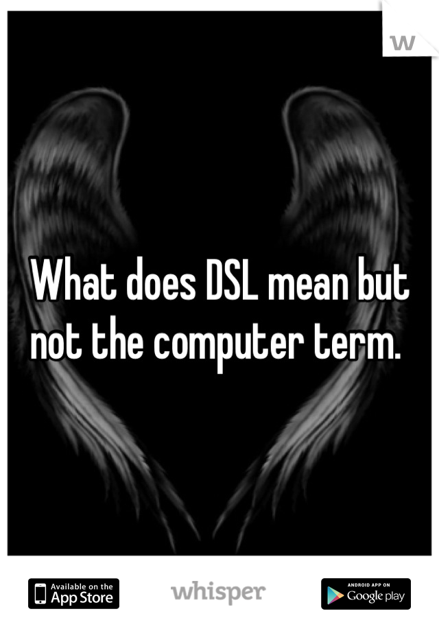 What does DSL mean but not the computer term. 