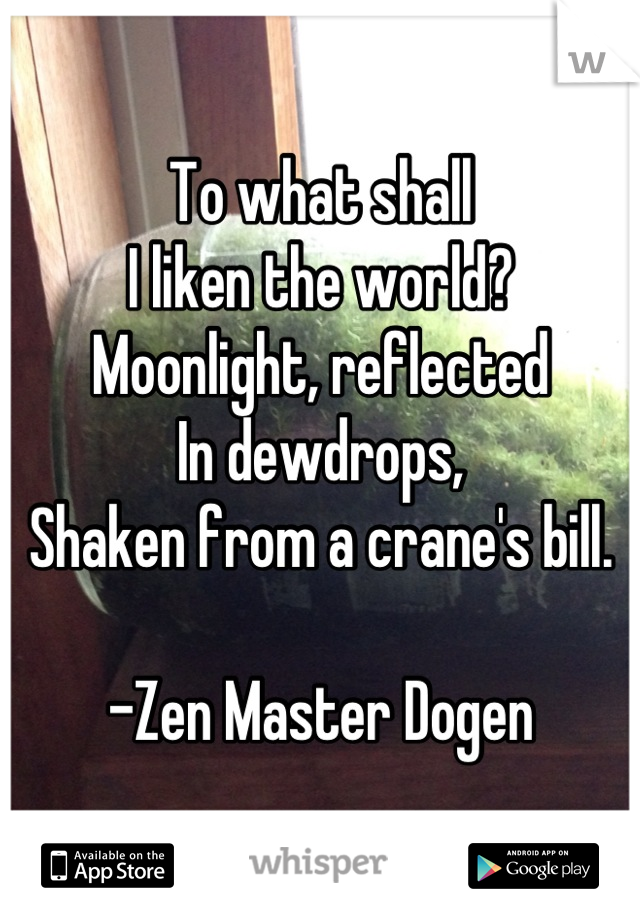 To what shall
I liken the world?
Moonlight, reflected
In dewdrops,
Shaken from a crane's bill. 

-Zen Master Dogen