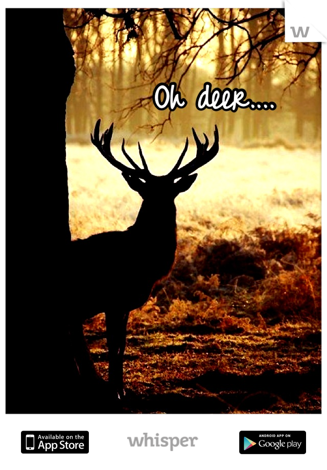 Oh deer....