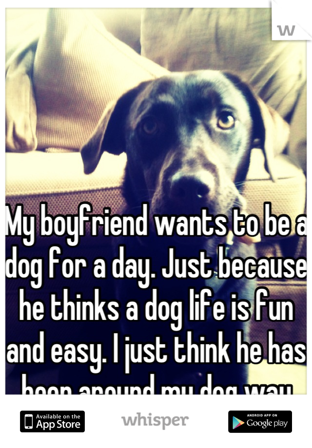 My boyfriend wants to be a dog for a day. Just because he thinks a dog life is fun and easy. I just think he has been around my dog way too long. 