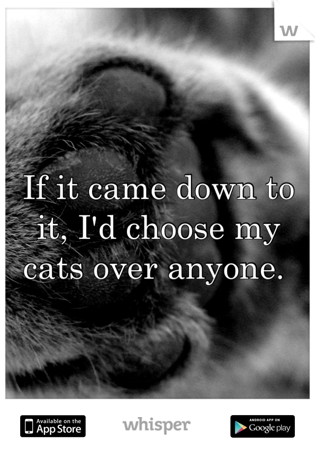 If it came down to it, I'd choose my cats over anyone. 