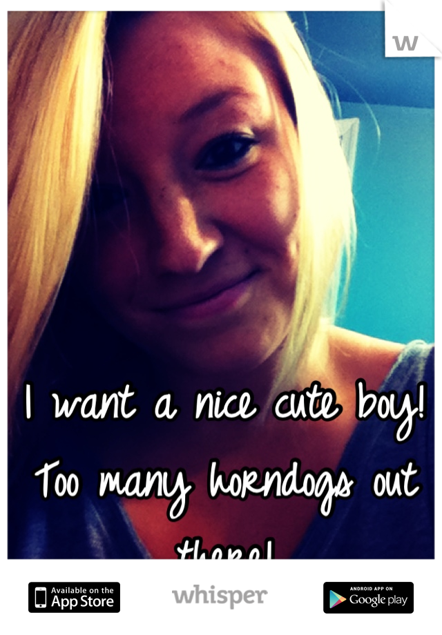 I want a nice cute boy! Too many horndogs out there!