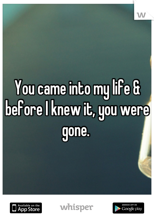 You came into my life & before I knew it, you were gone. 