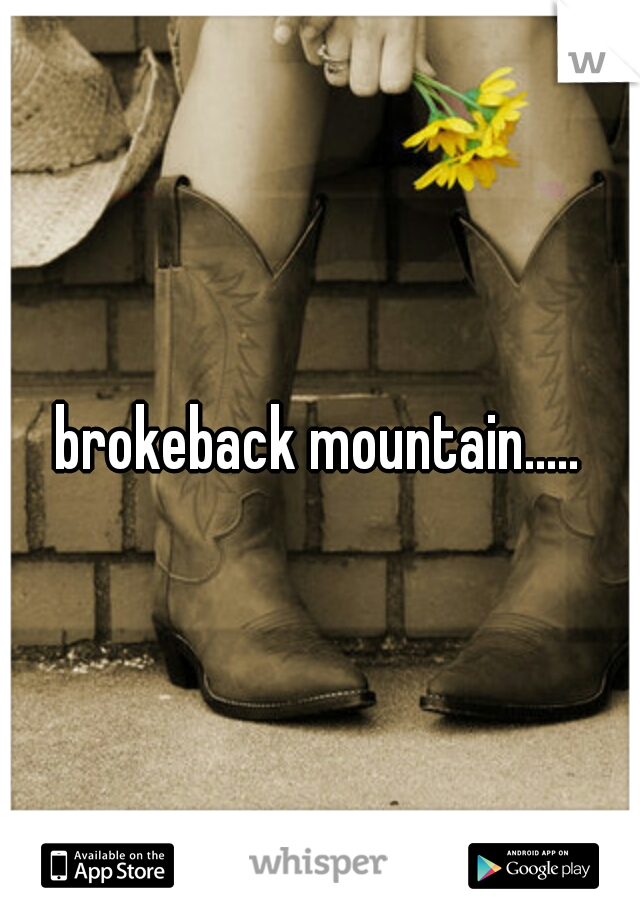 brokeback mountain.....