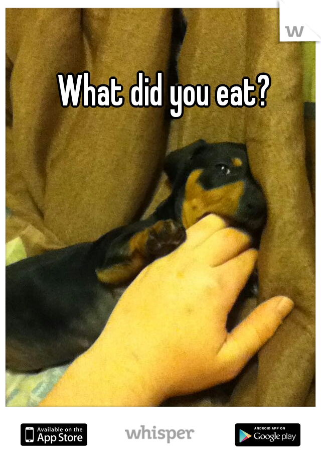 What did you eat?