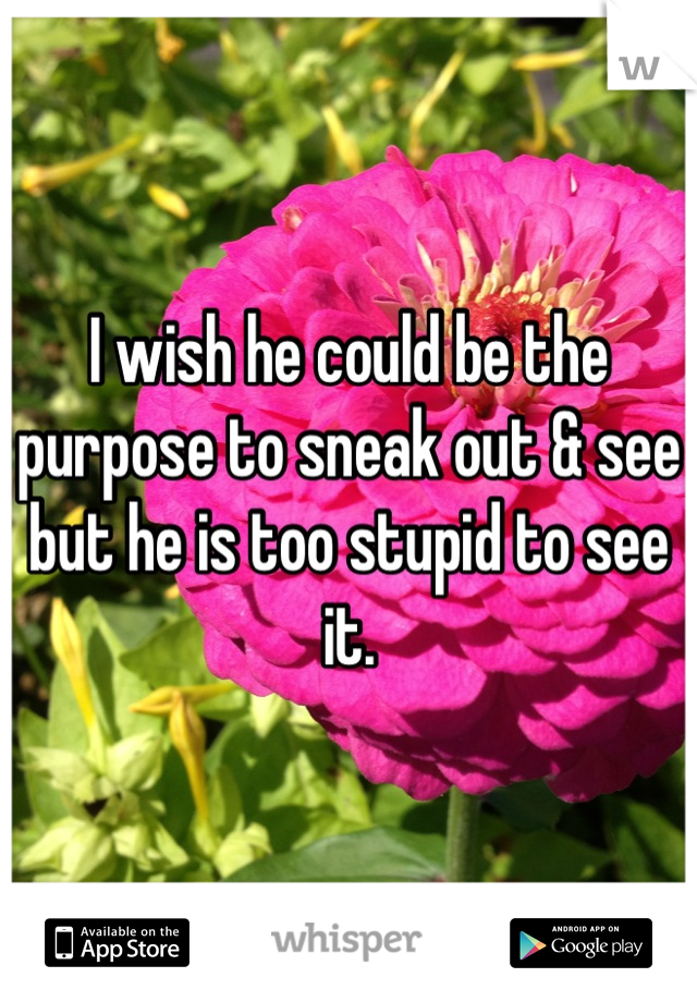 I wish he could be the purpose to sneak out & see but he is too stupid to see it.