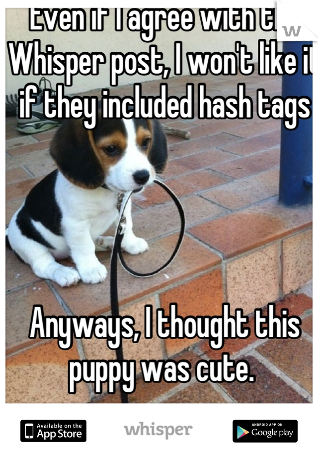 Even if I agree with the Whisper post, I won't like it if they included hash tags




Anyways, I thought this puppy was cute. 