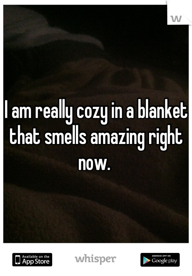 I am really cozy in a blanket that smells amazing right now. 