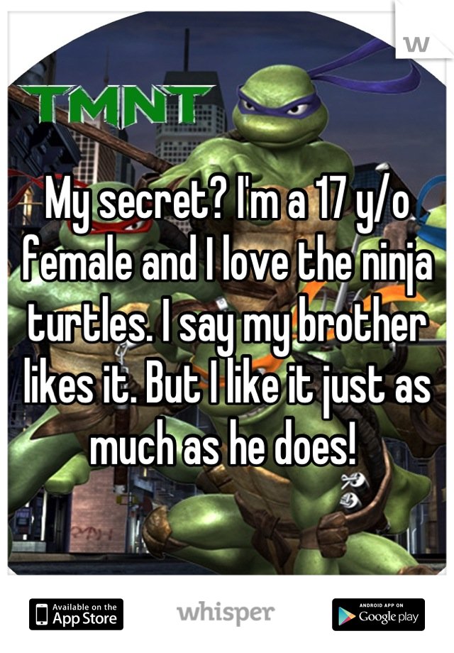 My secret? I'm a 17 y/o female and I love the ninja turtles. I say my brother likes it. But I like it just as much as he does! 