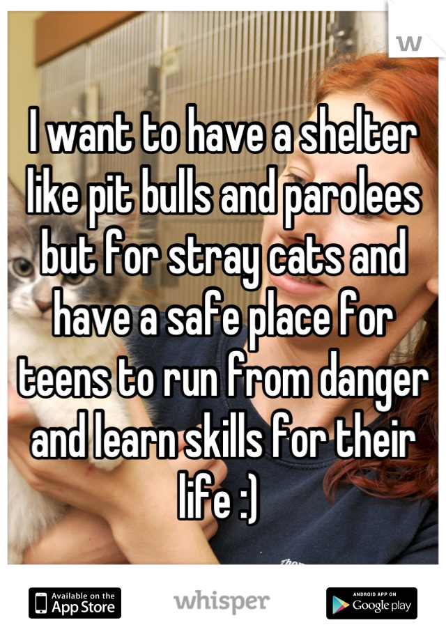 I want to have a shelter like pit bulls and parolees but for stray cats and have a safe place for teens to run from danger and learn skills for their life :) 