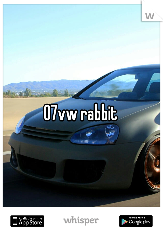 07vw rabbit