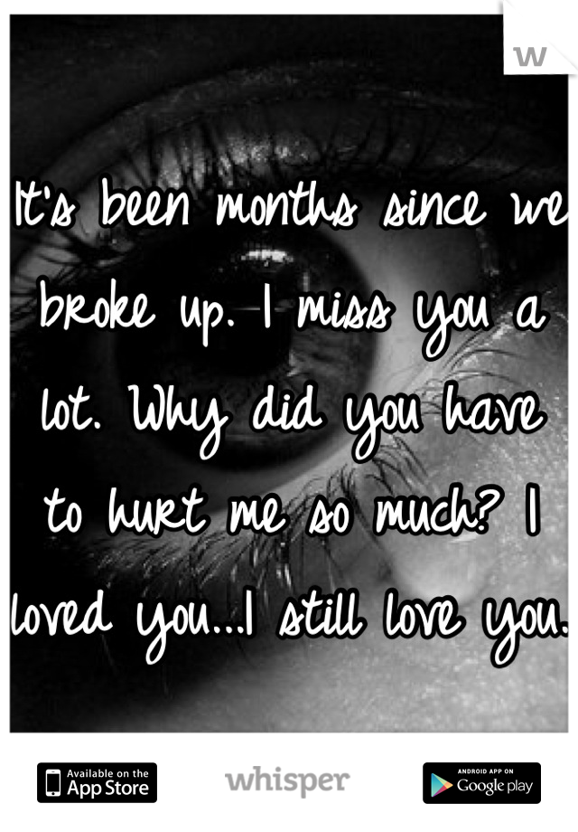 It's been months since we broke up. I miss you a lot. Why did you have to hurt me so much? I loved you...I still love you.